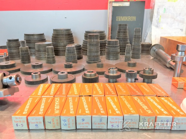 Attrezzatura per Macchina dentatrice a creatore MIKRON 102.05 MPS 20689-876 presso KRAFFTER